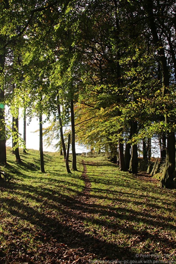 Lane to Bretton Clough